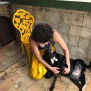 Tathyana Rosendo Pitanga Dias - Viseu - Dog Daycare