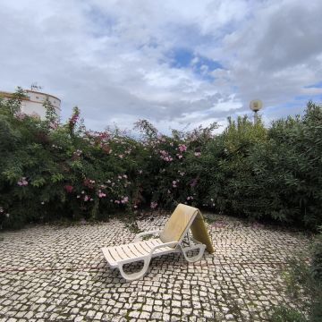 Bruno Rosa - Lagos - Paisajismo