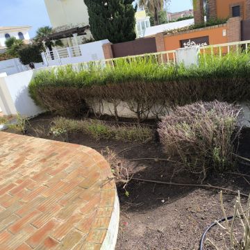 Bruno Rosa - Lagos - Colocación de rocas