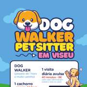 Cecília Cavalcanti/ Hotelzinho da Ceci (Insta) - Viseu - Dog Walking