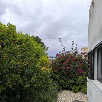Bruno Rosa - Lagos - Limpieza de terrenos