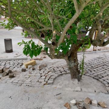 Lima - Setúbal - Instalação de Pavimento em Pedra ou Ladrilho