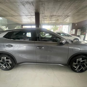 Paulo pires - Torres Vedras - Chauffeur