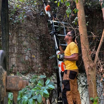 Mundo Verde Jardins - Amadora - Shrub Removal