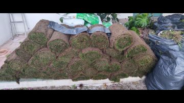 Mundo Verde Jardins - Amadora - Lawn Mowing and Trimming