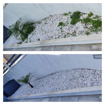 Mundo Verde Jardins - Amadora - Drip Irrigation System Maintenance