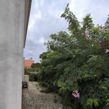 Bruno Rosa - Lagos - Instalación de césped artificial