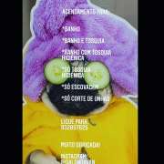 Vanessa - Viana do Castelo - Baths and Grooming for Animals