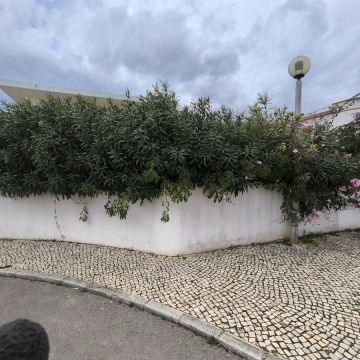 Bruno Rosa - Lagos - Mantenimiento del sistema de riego por goteo