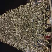Allan Cardoso - Amadora - Reisebüros