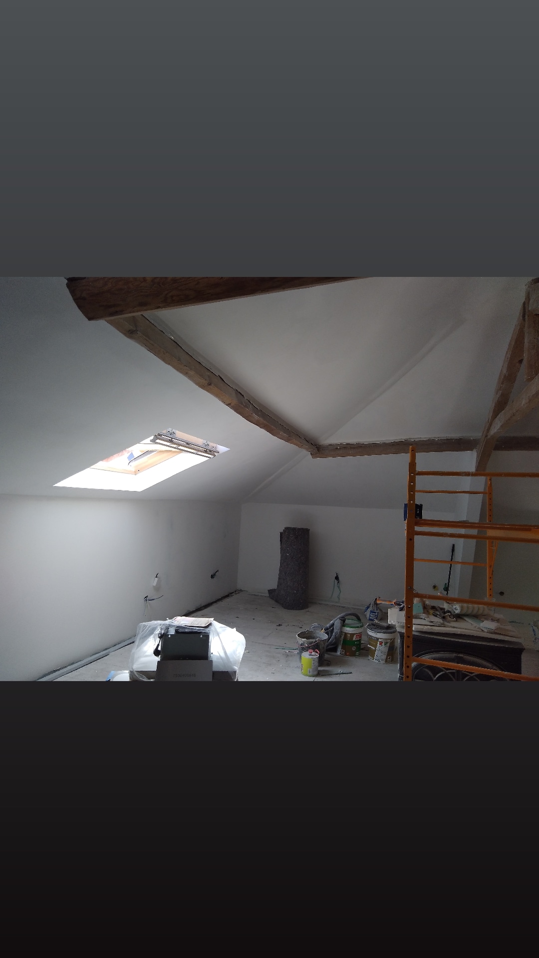 J.S.COSTRUCÃOS pintura, pladu, telhado, piso, capotou, Ladrilhador, Remodelação em geral - Figueira da Foz - Eliminación de arbustos