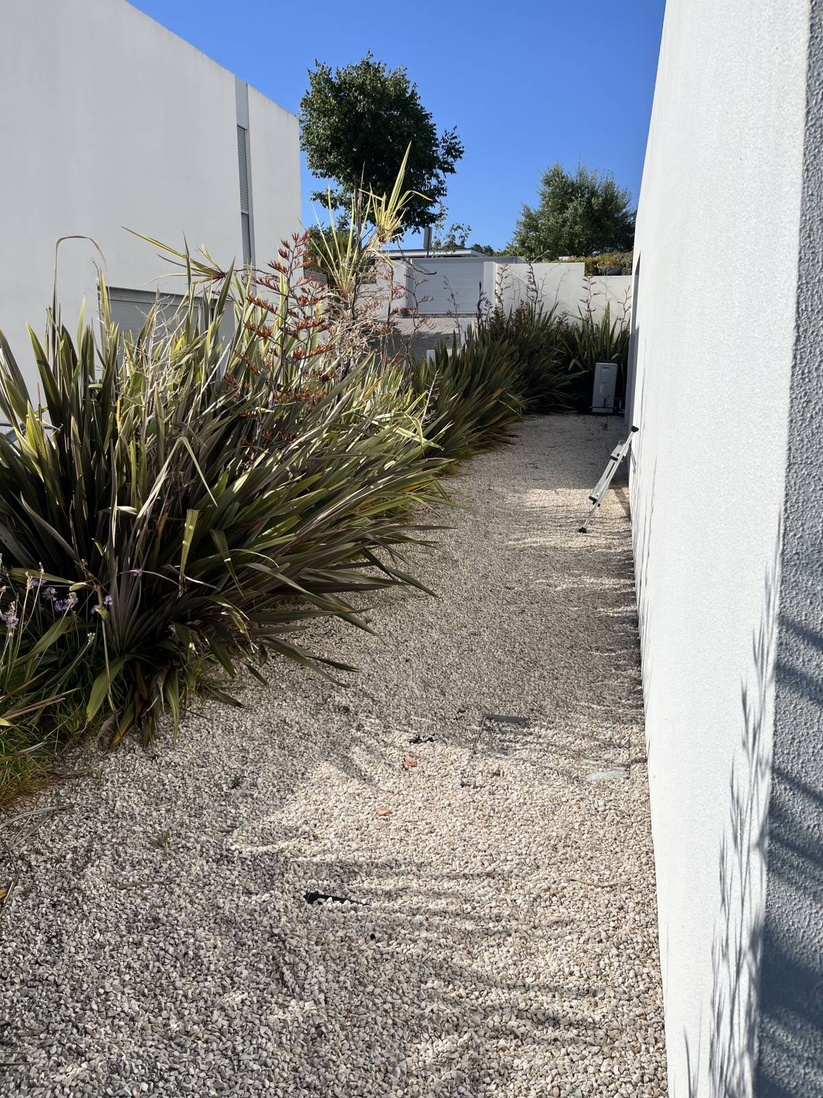 RPC Jardins - Sintra - Rasenpflege - Kompletter Rundum-Service