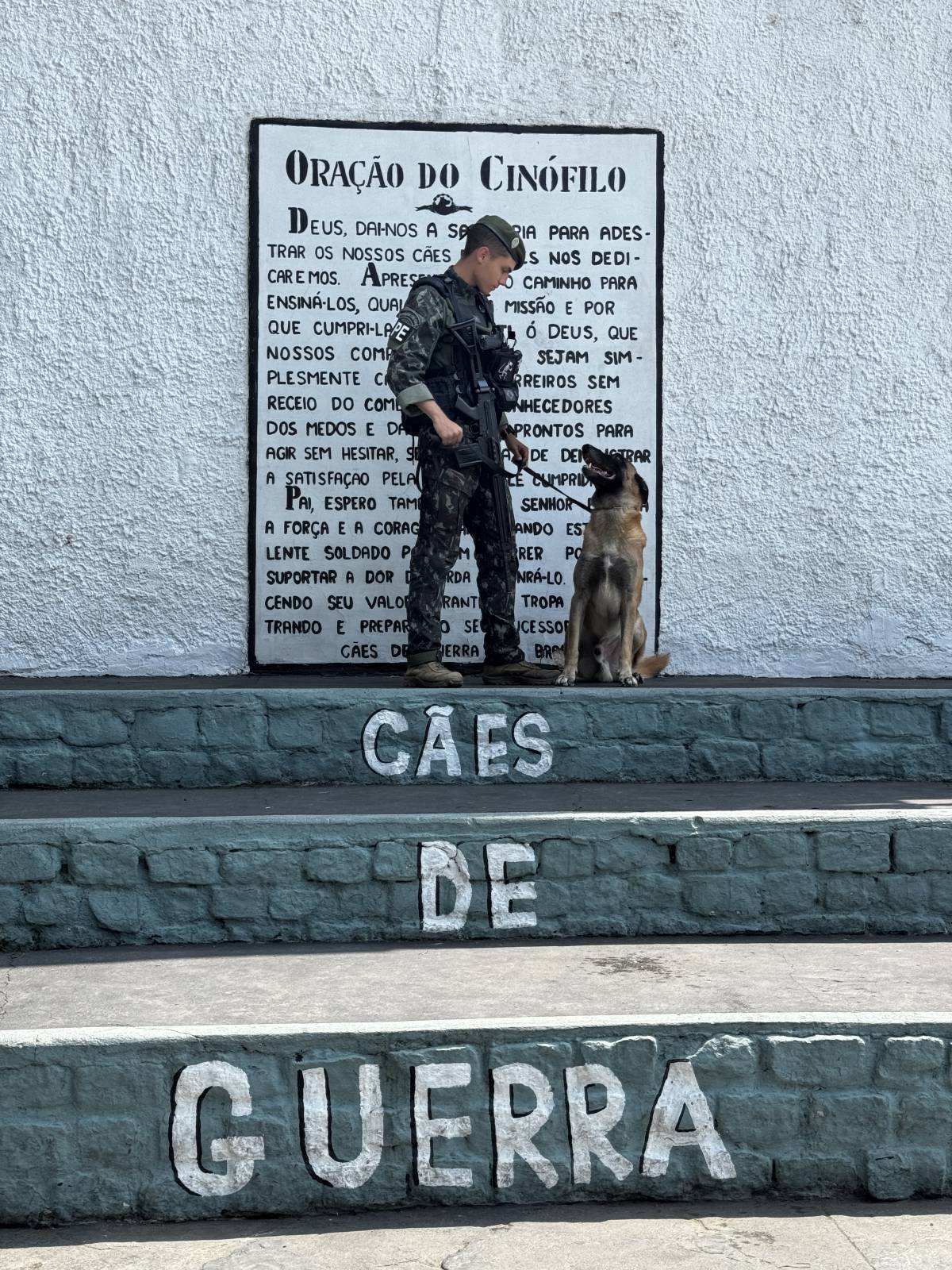 Lucas Pacheco - Braga - Cuidar tus perros