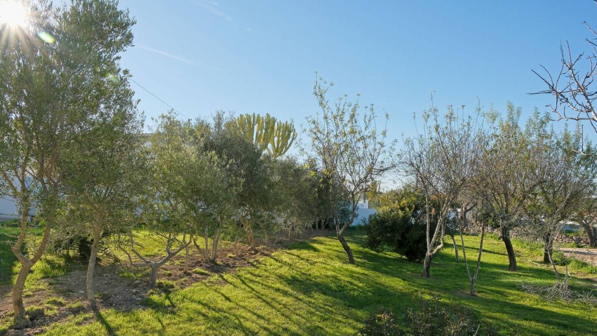 Ynext Eventus - Albufeira - Partyplanung