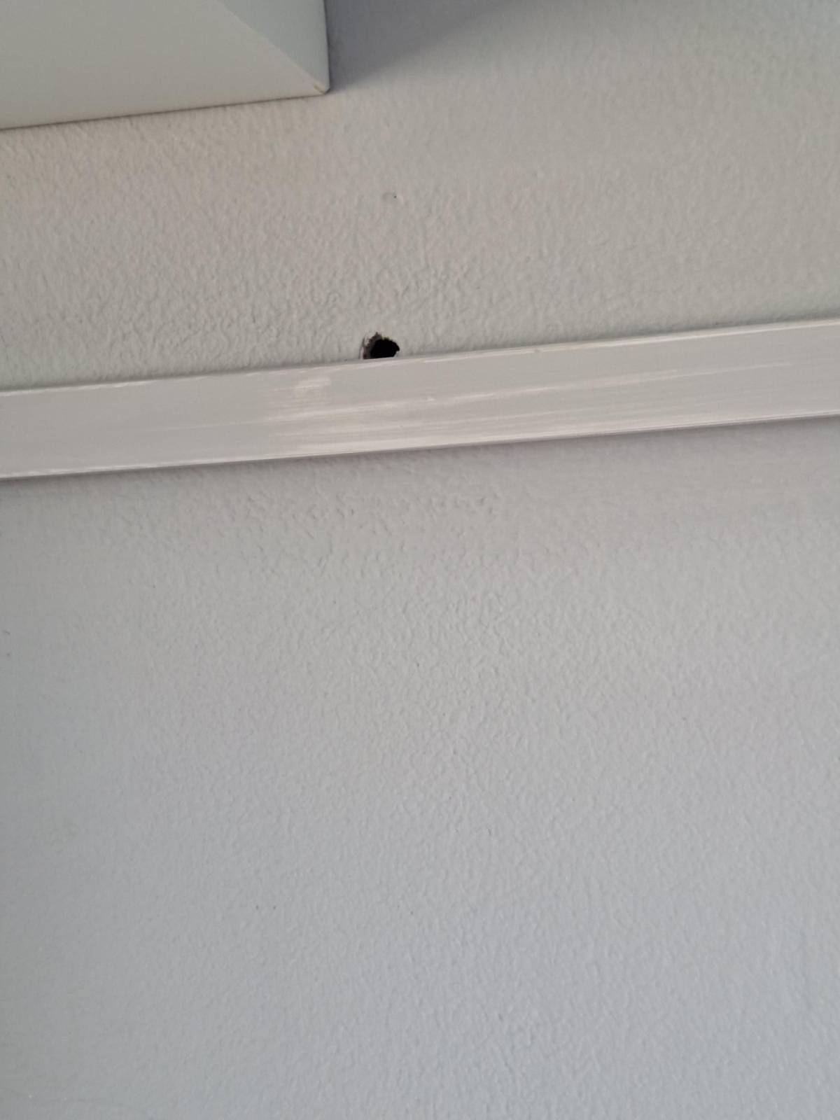 Handyman - Biscates