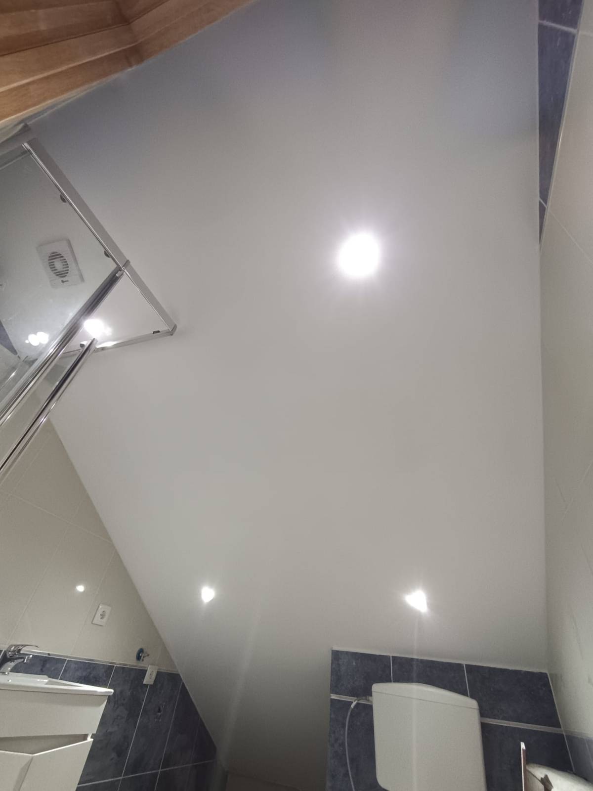 MAF Paint & Maintenance - Leiria - Schimmelinspektion und -beseitigung
