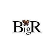 BIGR- Gestão de Condomínios - Odivelas - Condominium Management Services original