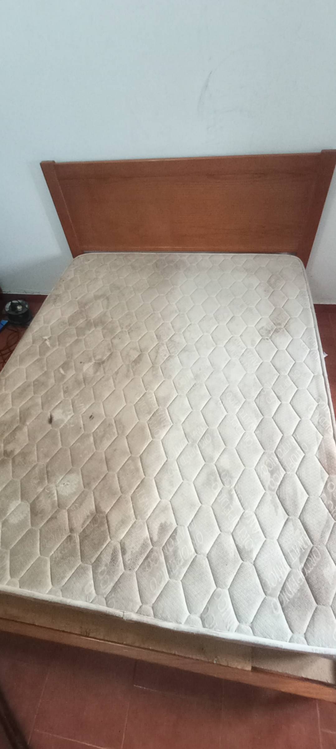 Sev Clean Limpeza de Estofos e higienização - Fundão - Limpieza de persianas