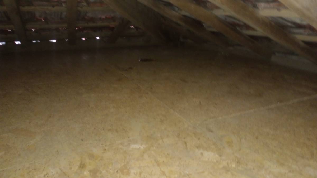 GUIMARÃES - Figueira da Foz - Construction de mur intérieur