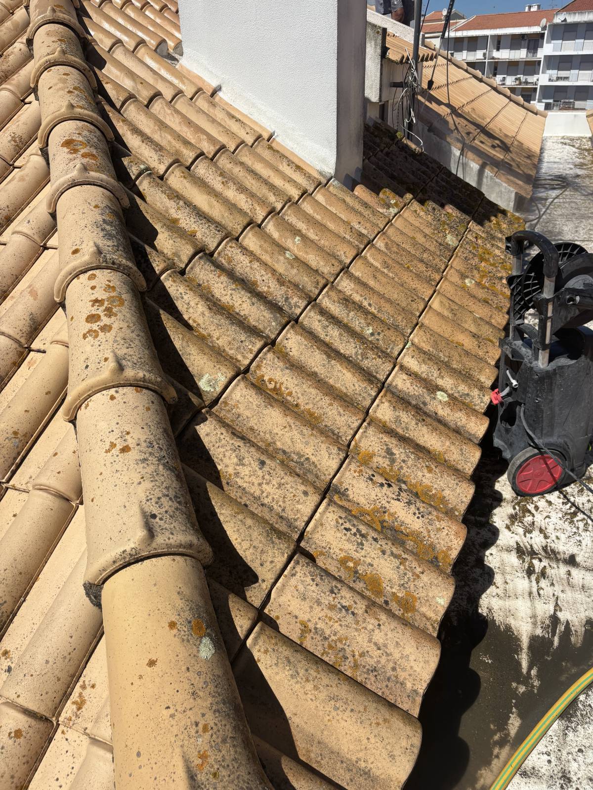 REC PRESTIGE CLEANL - Tavira - Grundreinigung oder Frühjahrsputz