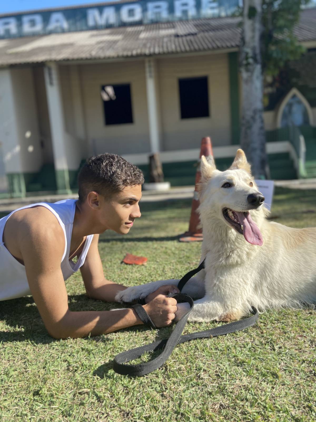 Lucas Pacheco - Braga - Cuidar tus gatos