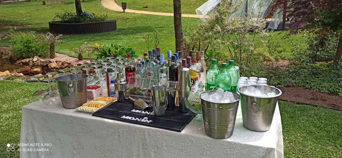 Emotions & drinks bartending - Barcelos - Event Staff