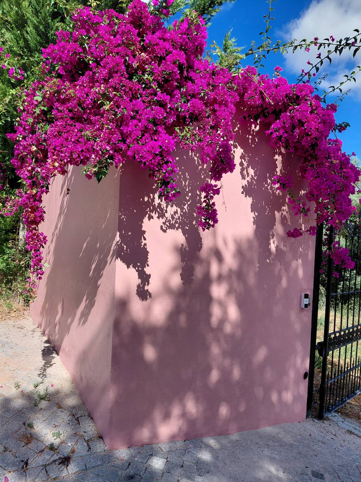 Josephmonteiro - Setúbal - Pintura de Casas