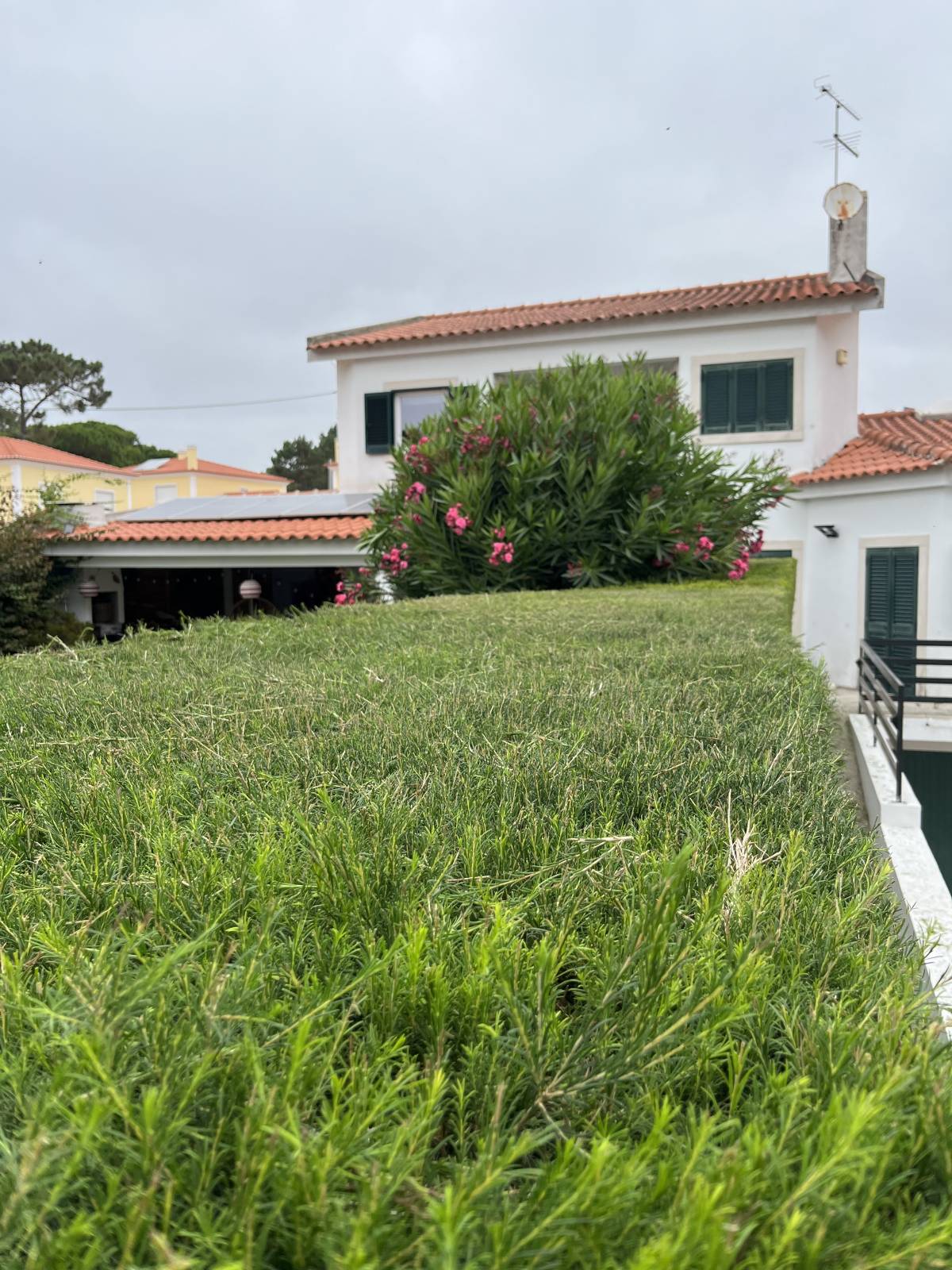 RPC Jardins - Sintra - Rasenpflege - Kompletter Rundum-Service