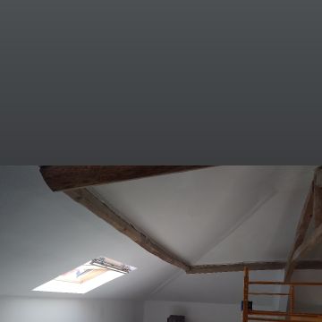 J.S.COSTRUCÃOS pintura, pladu, telhado, piso, capotou, Ladrilhador, Remodelação em geral - Figueira da Foz - Eliminación de arbustos