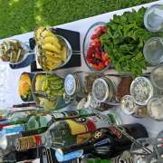 Emotions & drinks bartending - Barcelos - Bartending