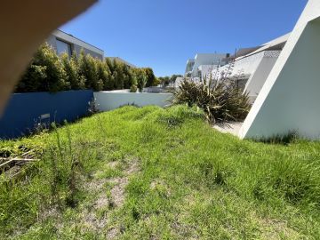 RPC Jardins - Sintra - Baumstumpf oder -wurzel wegfräsen und entfernen