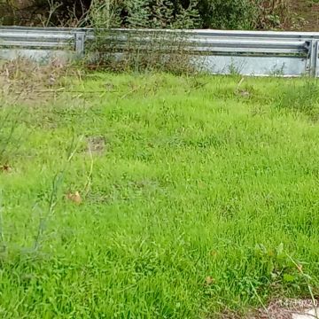 Jardinagem e remodelações de interiores - Loures - Caulking