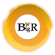 BIGR- Gestão de Condomínios - Odivelas - Commonhold Property Management
