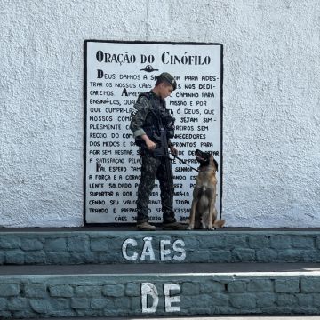 Lucas Pacheco - Braga - Cuidar tus perros