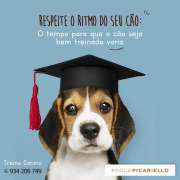 Paolo - Paredes - Creche para Cães