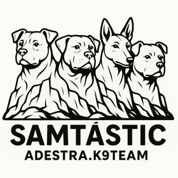 Samtástic Adestra K9 (Samuel) - Seixal - Dog Walking