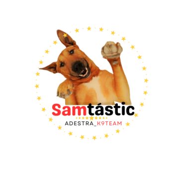 Samtástic Adestra K9 (Samuel) - Seixal - Hotel para Cães