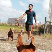 Samtástic Adestra K9 Team - Seixal - Dog Walking