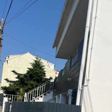 LD REMODELACOES É MANUTENÇÃO LMDA - Sintra - Poda e Manutenção de Árvores