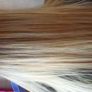 Tânia Teixeira - Moita - Friseure und Barbiere