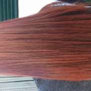 Tânia Teixeira - Moita - Barbier