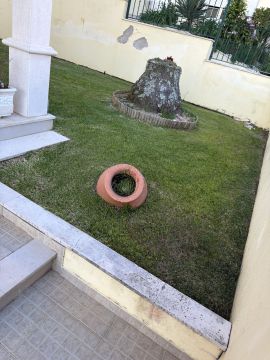 Jardinagem