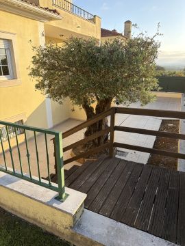 Serviço de Jardinagem - Casa