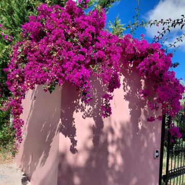Josephmonteiro - Setúbal - Pintura de Casas