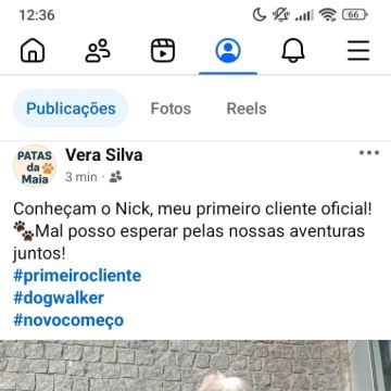 Vera Silva - Maia - Cat Sitting