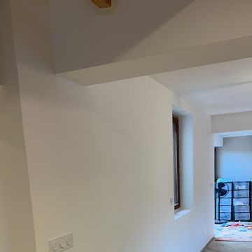 Mestre Renovações, Lda - Vila Nova de Gaia - Enlèvement d'arbustes