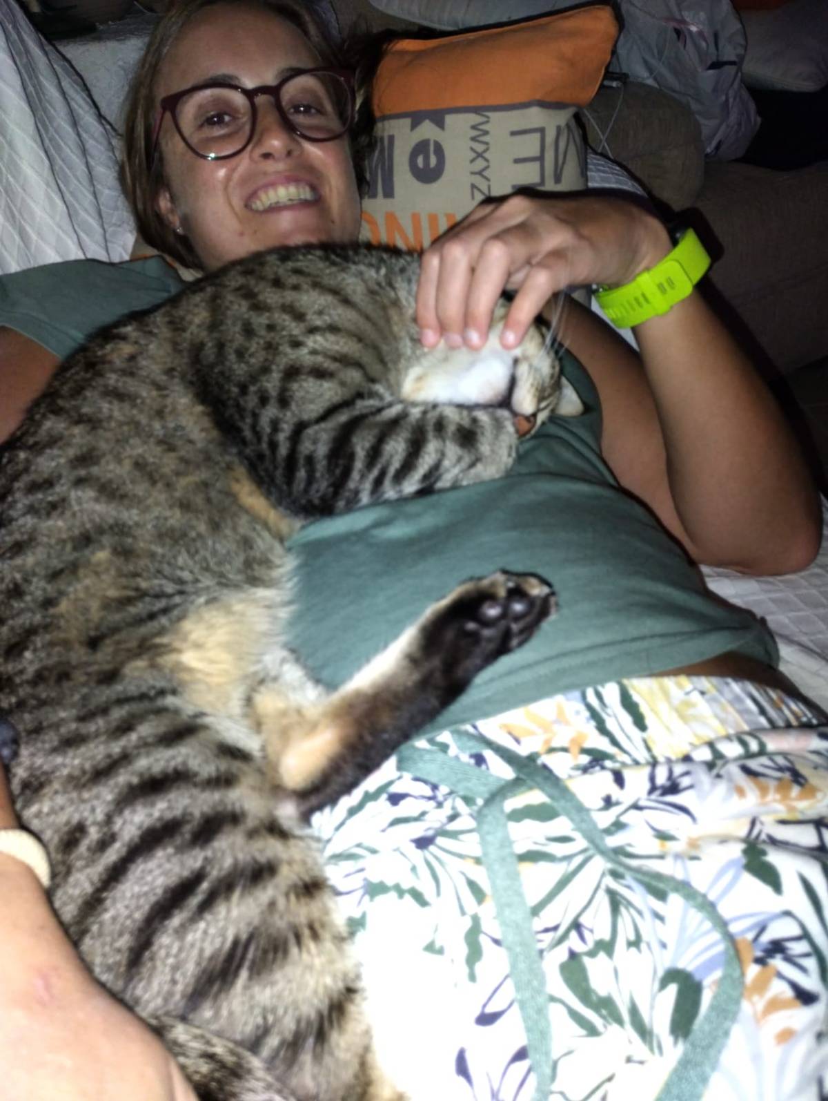 Joana Isabel Cavaco - Faro - Cat Sitting