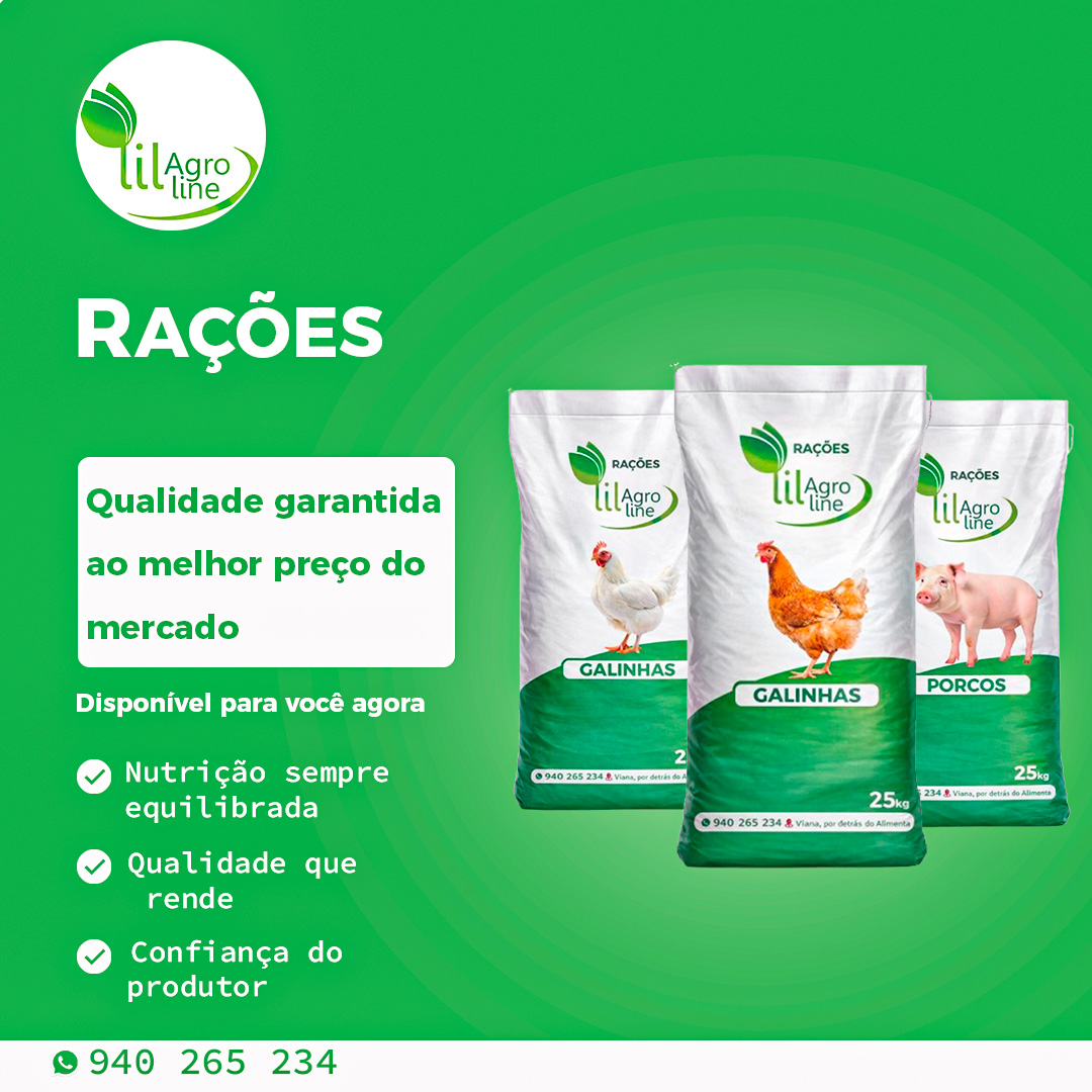 META  DESIGNER - Braga - Marketing