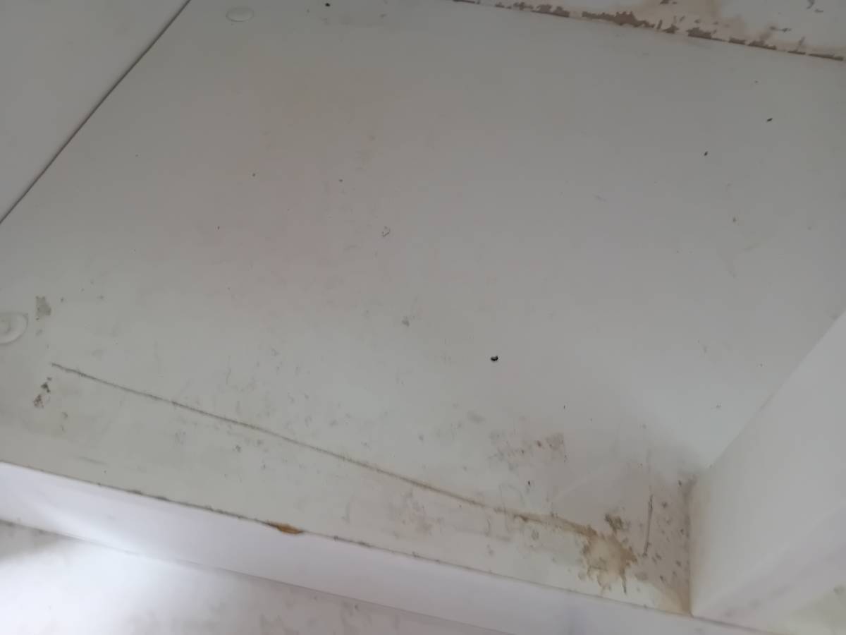 Flavia - Amadora - Limpeza da Casa (Recorrente)