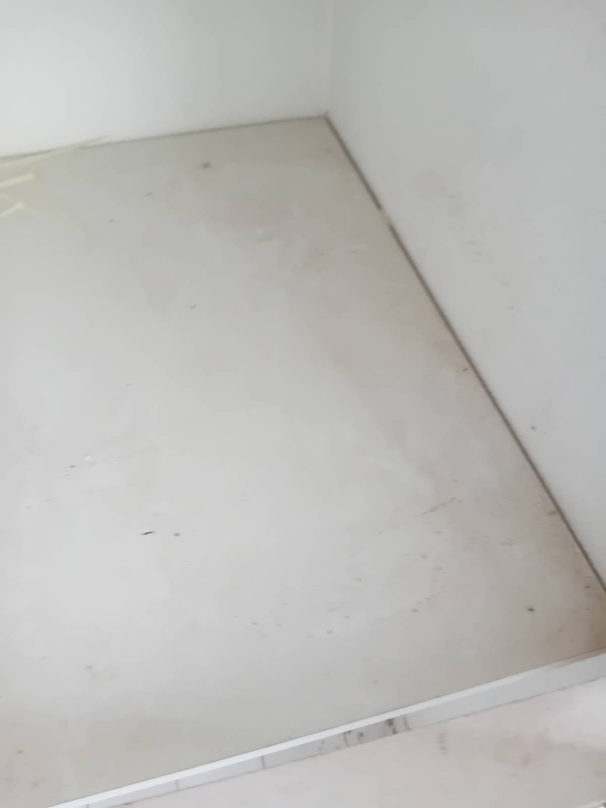 Flavia - Amadora - Limpeza Após Mudanças